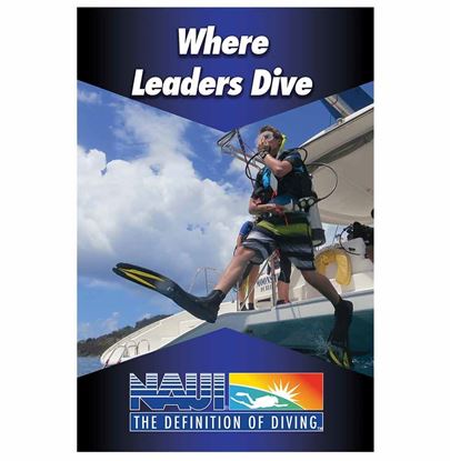 Where leaders Dive Poster 