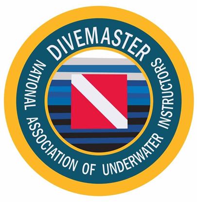 Divemaster Decal