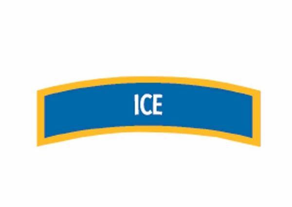 Picture of Decal,  Specialty Ice Diver Chevron