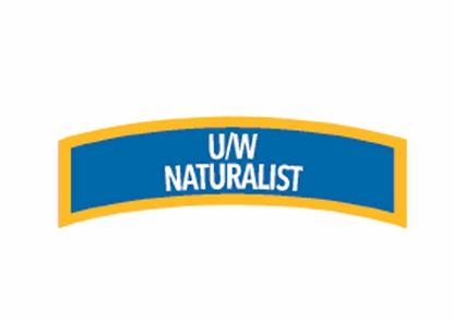 Picture of Specialty Underwater Naturalist Diver Chevron