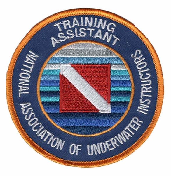 Picture of Training Assistant Patch