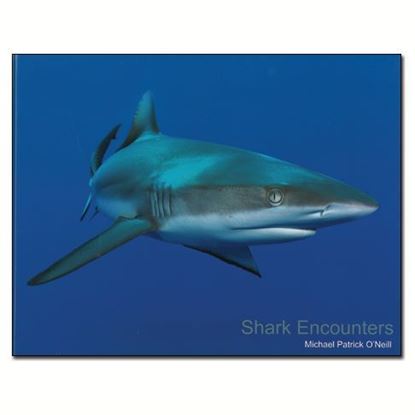 Picture of Book, Shark Encounters