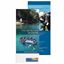Picture of NAUI The Definition of Diving Brochure