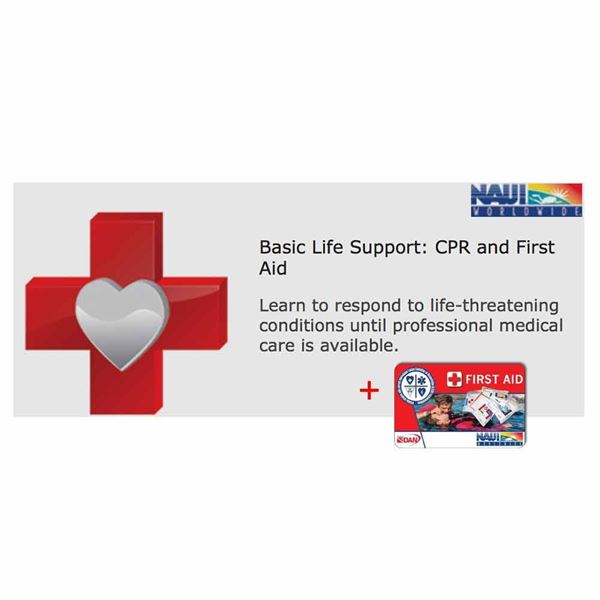 Picture of Basic Life Support: CPR & First Aid (BLS): Digital Plus NES