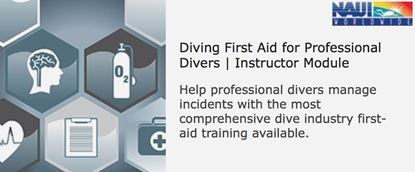 Picture of Diving First Aid for Professional Divers (DFAPRO): Digital NES
