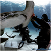 Picture of Neal Watson’s Bimini Scuba Center and Big Game Club Dive Packages