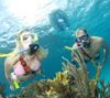 Picture of Stuart Cove Dive Bahamas