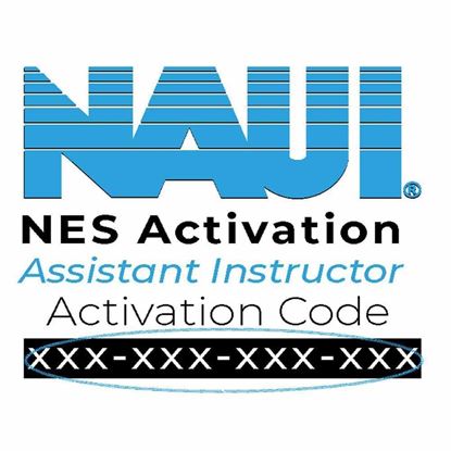 Picture of Assistant Instructor Candidate Packet: Digital NES