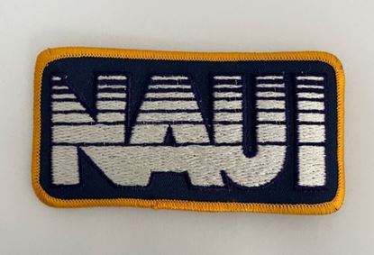 Picture of NAUI Logo, Patch