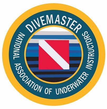 Picture of NAUI Divemaster Decal