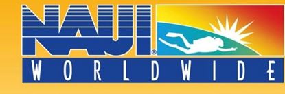 Picture of NAUI The Definition of Diving Decal **10/pack