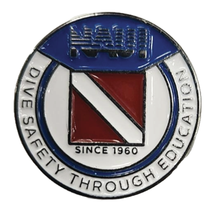 Picture of Lapel Pin