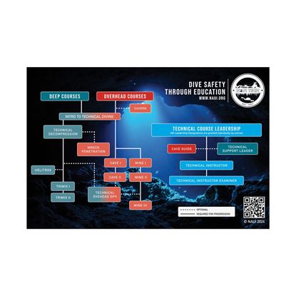 Picture of NAUI Technical Progression Poster